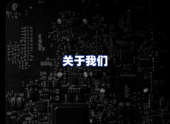 专业团队